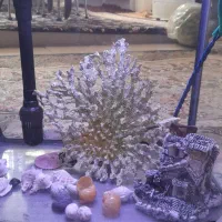 آکواریوم شیشه خم شرکتی ماهیران