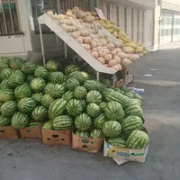 حراج انواع میوه هندوانه طالبی هلوگرمک آلبالو امروز|حراج|اصفهان, خانه اصفهان|دیوار