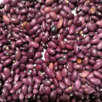 لوبیاقرمز درجه یک