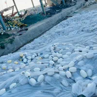 فروشی|قایق و سایر وسایل نقلیه|قشم, |دیوار