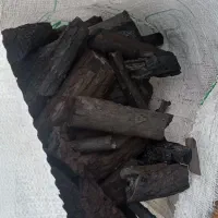 تولید زغال کبابی