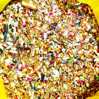 گندم کبوترمرغ ارزن شیرازعروس طوطی کوتوله گرینچیک