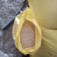 لوبیا|عمده‌فروشی|الشتر, |دیوار