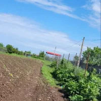 14000متر زمین مسکونی باغی بابر200متر لیسار تالش|فروش زمین و ملک کلنگی|لیسار, |دیوار