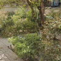آپارتمان لوکس 200متر حیاط اختصاصی پالیزی‌ـ‌سیبویه|اجارهٔ آپارتمان|تهران, نیلوفر|دیوار