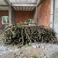 چوب ( هیزم ) پرتقال