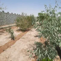 فروش-چهار-دیواری-500متری