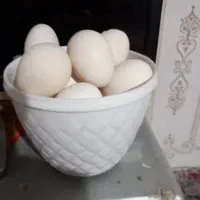 تخم مرغ لاری