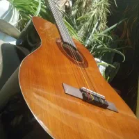 گیتارfernandez FG120