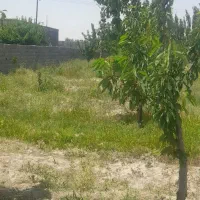 باغ|فروش خانه و ویلا|گلبهار, نوبهار|دیوار