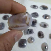 سنگ شجر قاین بی نظیر تک درخت سوزنی