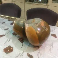 تار حرفه ای خجسته|سازهای سنتی|کرمان, |دیوار