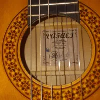 گیتار کلاسیک معاوضه با طوطی سان یا لوازم خانگی نو|گیتار، بیس، امپلیفایر|شیراز, لب آب|دیوار