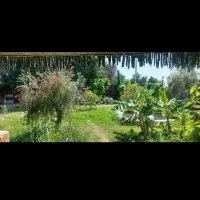 زمین ویلا. باغ. گلخانه جاده شوشتر اهواز