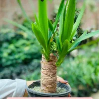 استخدام ادمین تولید محتوا  گلخانه خانه پاک تهران