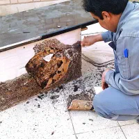 سمپاشی تضمینی سربندر|خدمات نظافت|بندر امام خمینی, |دیوار