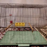 قفس پرنده با تمام وسایل