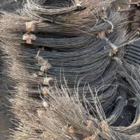 خرید سیم باغی کشاورزی|خدمات باغبانی و درختکاری|شبانکاره, |دیوار