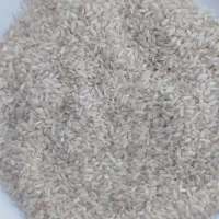 برنج‌ عنبر‌بو‌ وفجر دره‌شهر