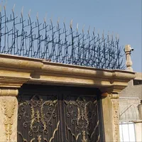 تولیدی حفاظ نرده فلزی حیاط شاخگوزنی دیواری دزدگیر|خدمات پیشه و مهارت|شیراز, فخرآباد (دروازه کازرون)|دیوار