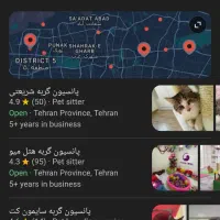 پانسیون گربه