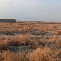 1000 متر زمین اجاره داده میشود