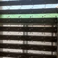 پرده زبرا|پرده، رانر، رومیزی|تهران, جیحون|دیوار