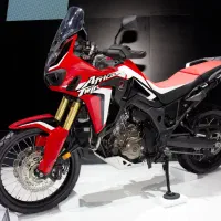 خ ر ی د ا رآفریکا هستم