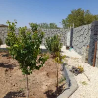 باغچه-300-متری-در-بهترین-موقعیت