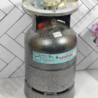 پیک نیک شرکتی با استاندارد رنگ چند لایه چکشی اکبند