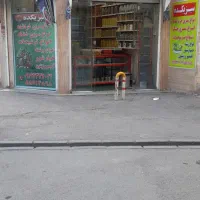 مغازه تجاری|فروش مغازه و غرفه|ری, ولی آباد|دیوار