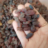 کشمش آفتابی،سایه خشک،سرکه|خوردنی و آشامیدنی|محمدیه-قزوین, |دیوار