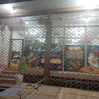 فروش کرکره|فروشگاه و مغازه|داران, |دیوار