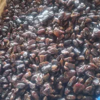 استخدام چندنفرآقاوخانم
