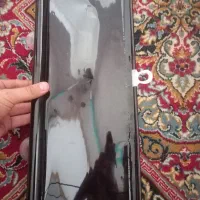 یک عدد دودی شیشه جلو و چهار عدد پرده پارس