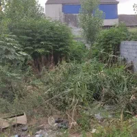 فروش زمین 227متری در ولایت 4
