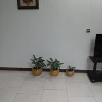 اجاره روزانه ویلاساحلی(شبانه،روزانه،کوتاه مدت)|اجارهٔ کوتاه‌مدت ویلا و باغ|فریدون‌کنار, |دیوار