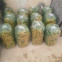 نیازمند کارگر اتباع جهت گلخانه خیار|استخدام سرایداری و نظافت|عسگران, |دیوار