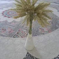 انگاع گلدون به همراه گندم و جو طبیعی