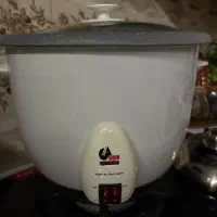 پلوپز و آرامپز برقی آگرین|اجاق گاز و لوازم برقی پخت‌وپز|فولادشهر, B4|دیوار