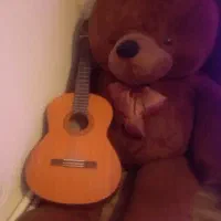 خرس بزرک کاملا سالم