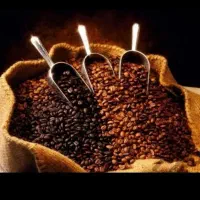 گلد کلاسیک اسپرسو