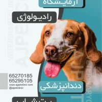 استخدام نیروی خدماتی جهت کار تو کلینیک دامپزشکی