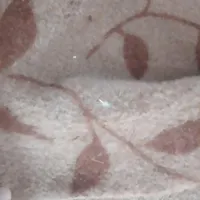موکت تمیز ودرحد نو