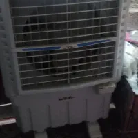 کولر درحد خشک سلولژی