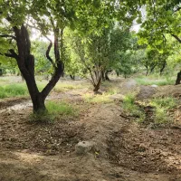 فروش-باغ-1500-متری-در-باغبهادران