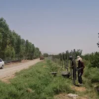 فروش باغ 500 متری در حکیم اباد اسلامشهر|فروش زمین و ملک کلنگی|رباطکریم, حکیم آباد|دیوار