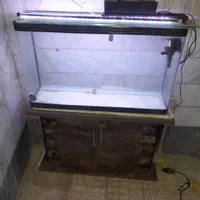 اکواریوم شیشه خم