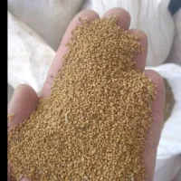 بذر یونجه بوجاری شده