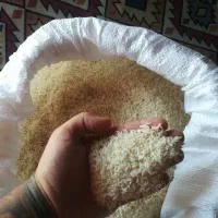 برنج طارم و هاشمی